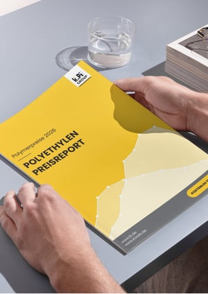 KI PE Cover Mockup 2026