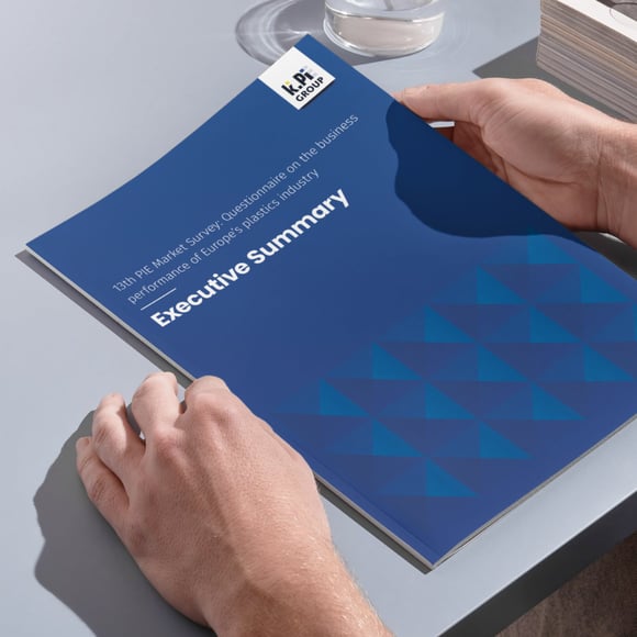 WP PIE Executive Summary_L